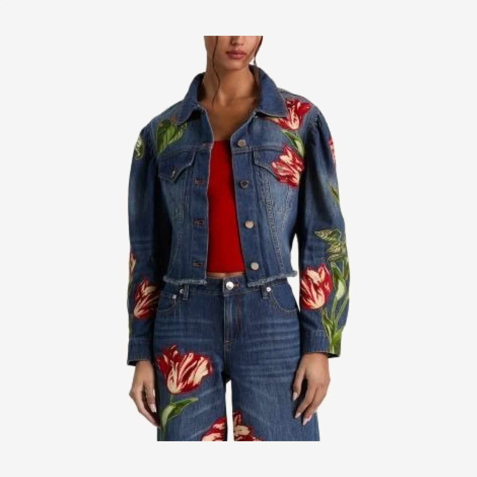 Alice and Olivia Elijah Embroidered Applique Jacket