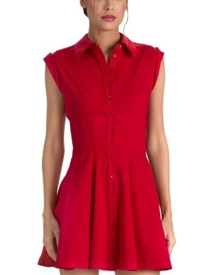 Alice and Olivia Kim Paneled Corset Flare Mini Dress