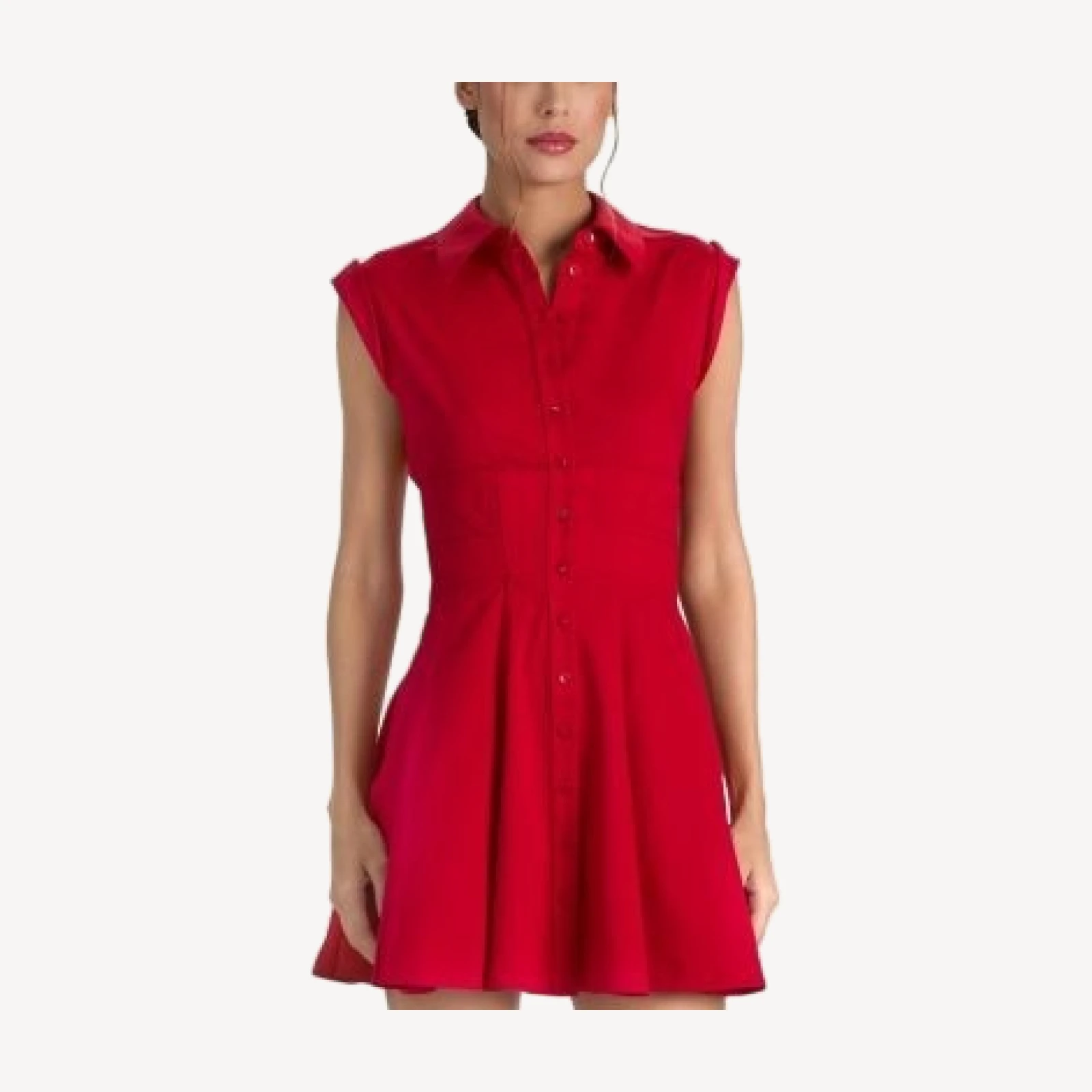 Alice and Olivia Kim Paneled Corset Flare Mini Dress