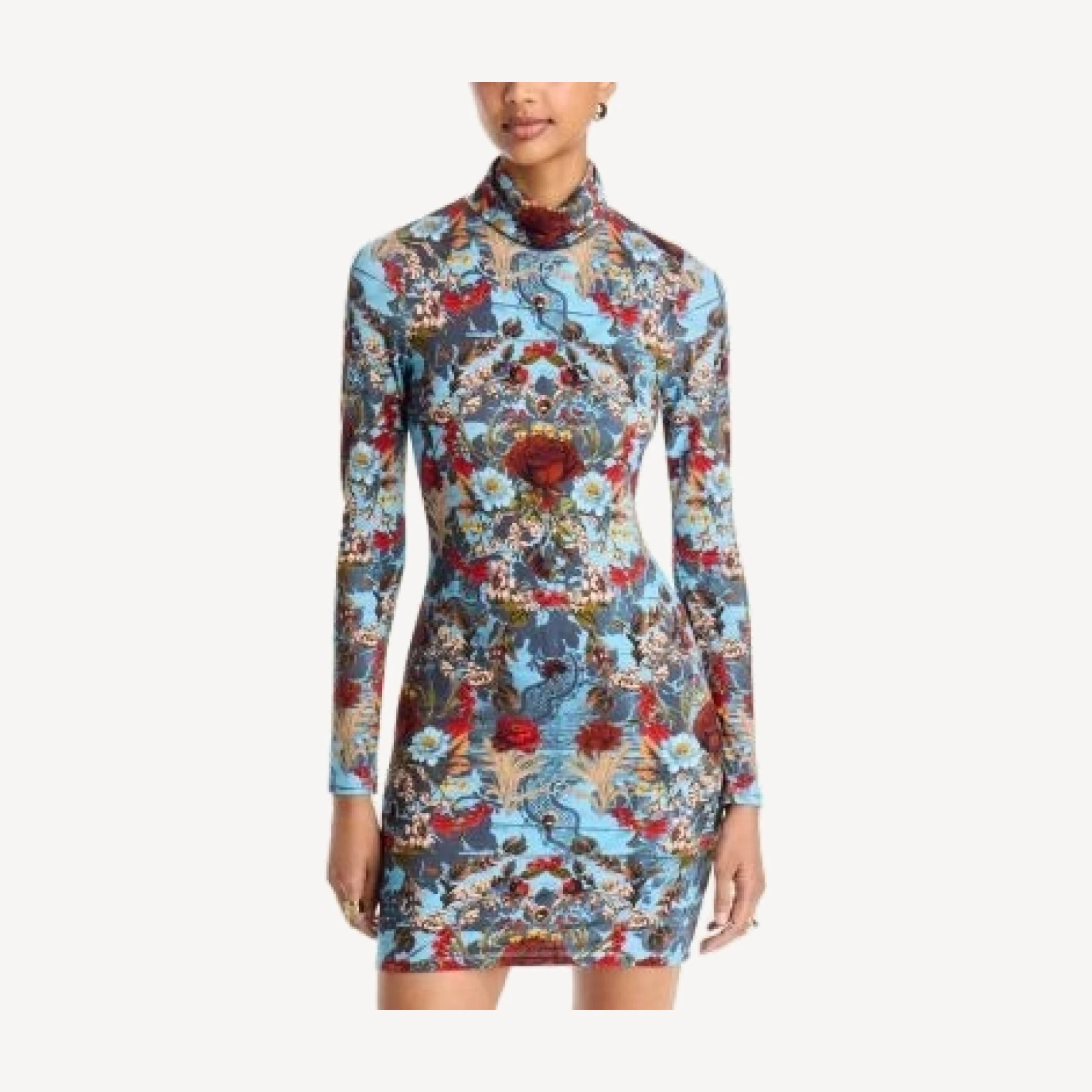 Alice and Olivia Delora Long Sleeve Turtleneck Dress