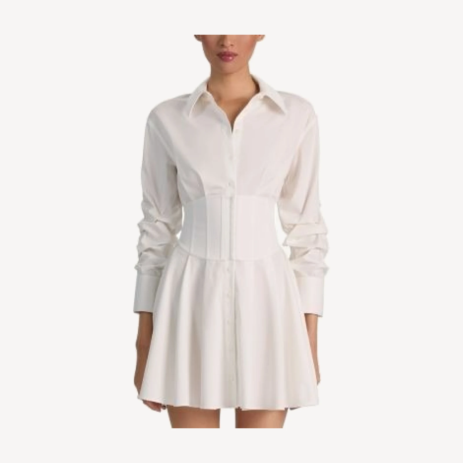 Alice and Olivia Edie Corset Button Down Dress