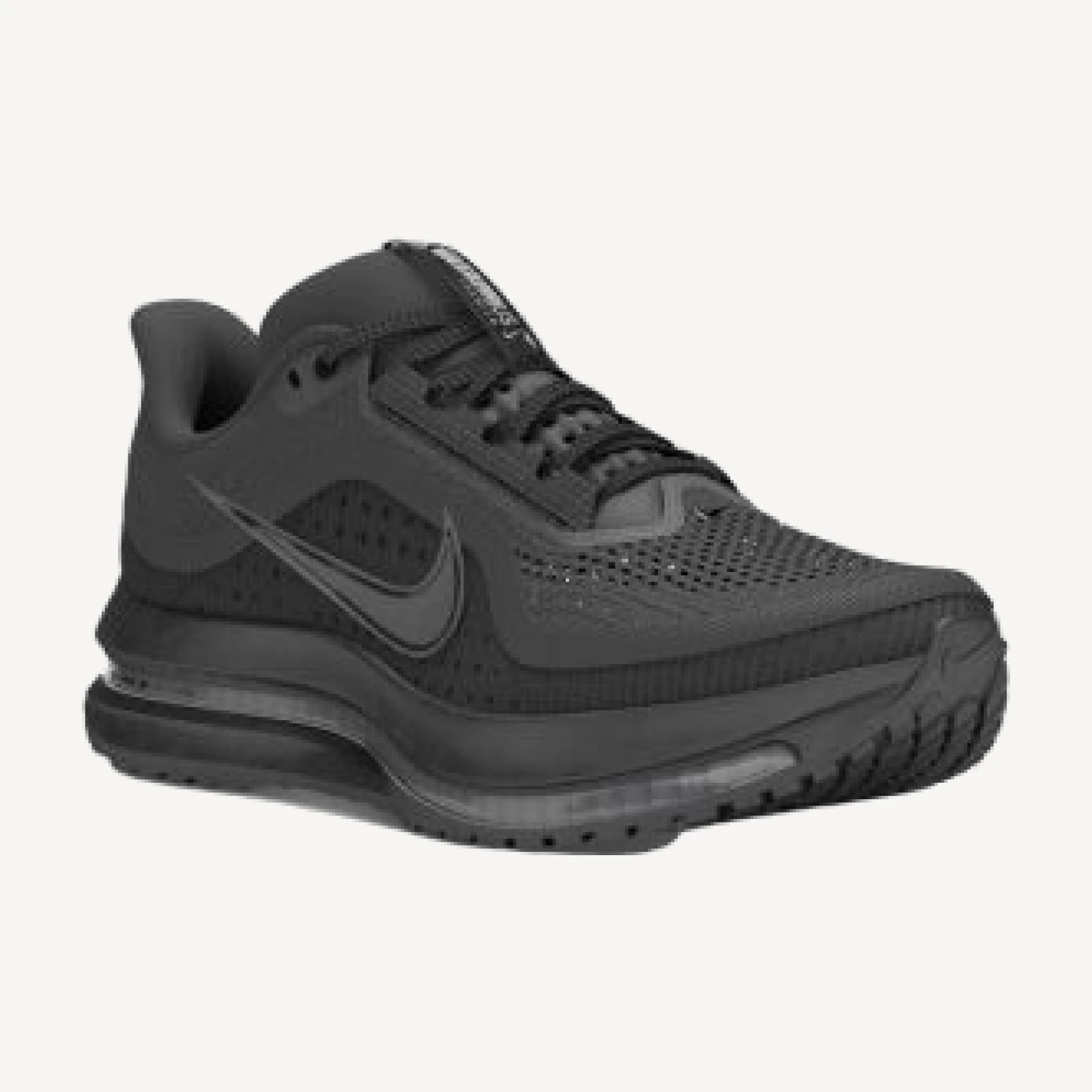 Nike Men's Pegasus Premium Road Running Shoes