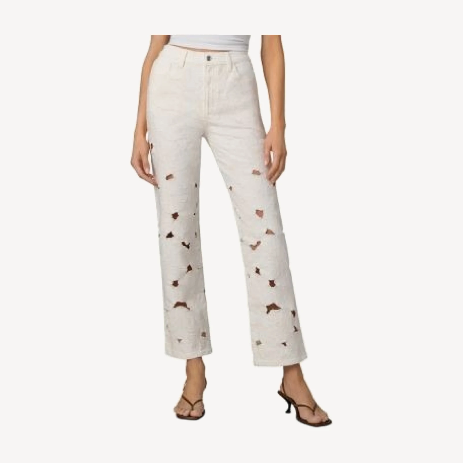 Joe's Jeans The Margot Allover Broderie Jeans in Ecru Floral