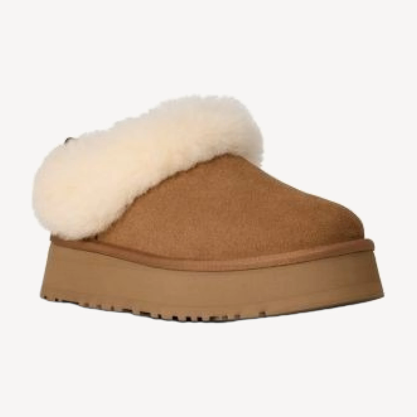 Ugg Women's Tazzelle Evolution Slippers