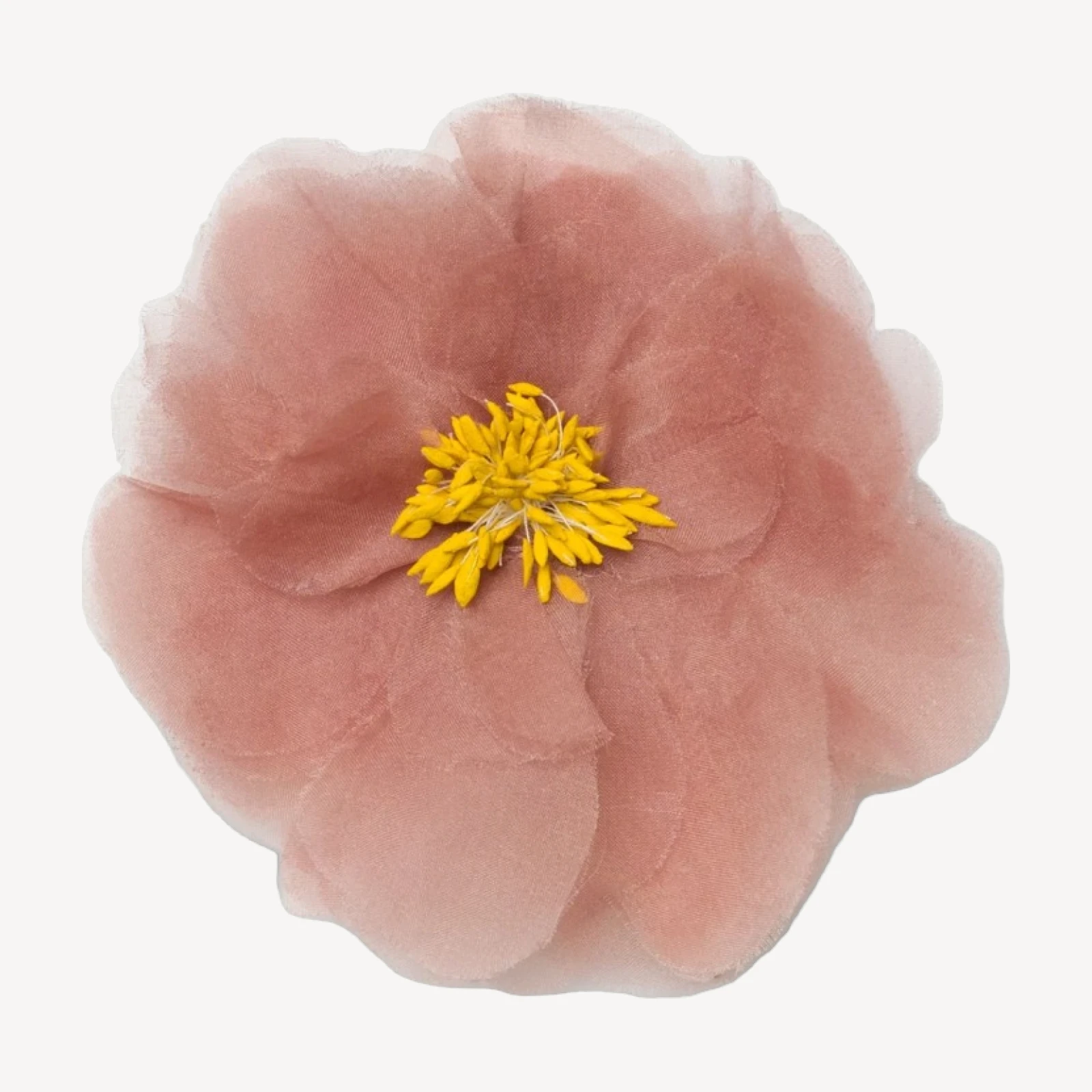 DANI BARRETTE -- APRICOT ORGANZA