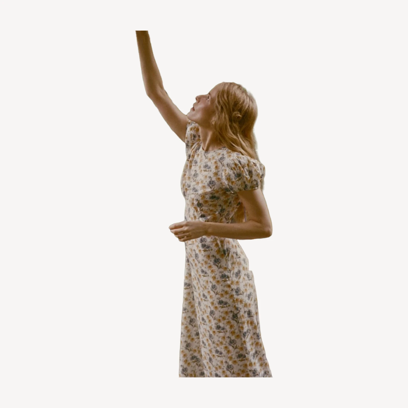 RHODIA DRESS -- NARCISSUS BLOOM