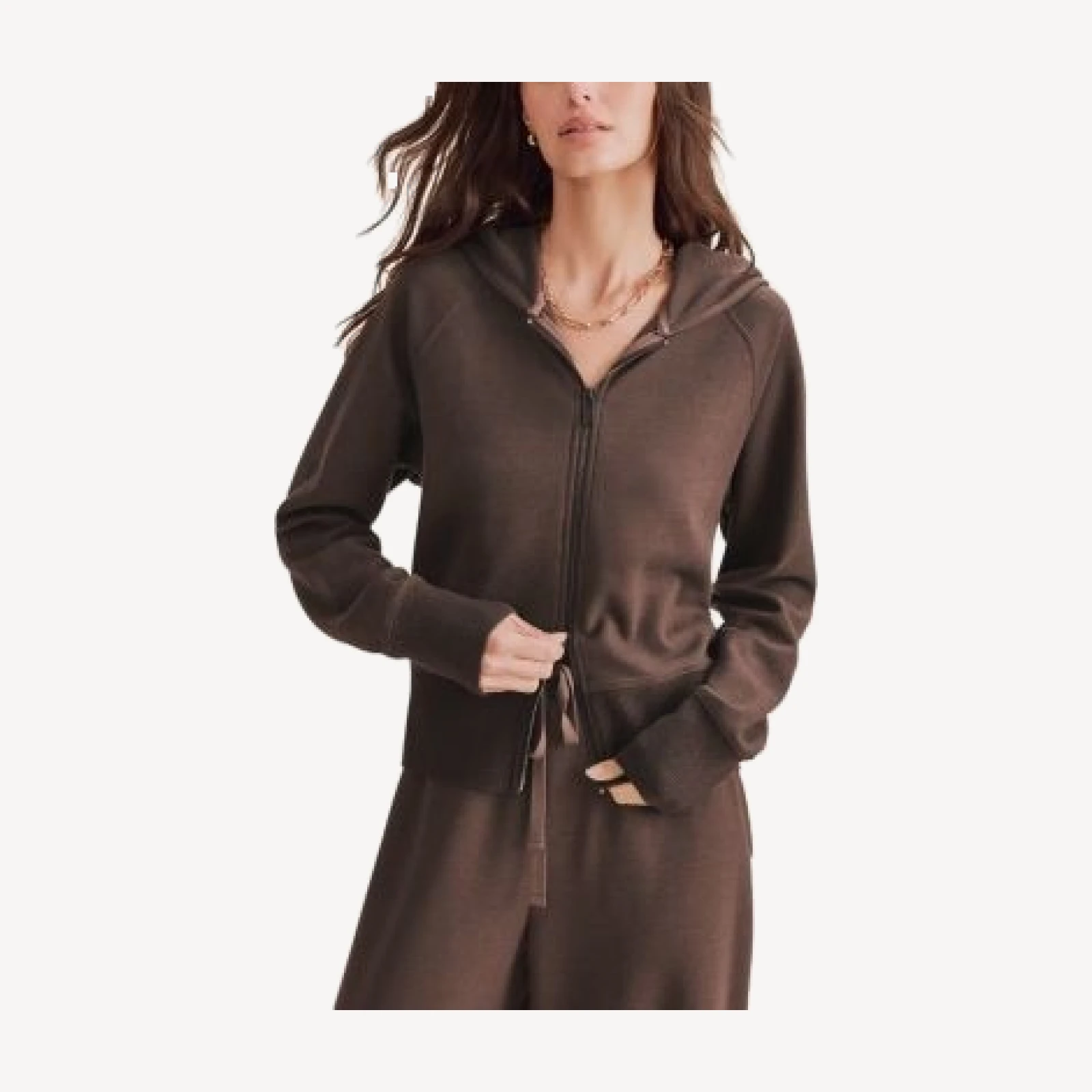Splendid Winslow Zippered Hoodie