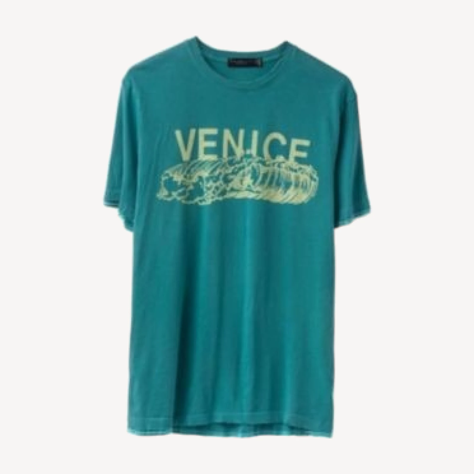 Junk Food Clothing Unisex Venice Vintage-Like Tee
