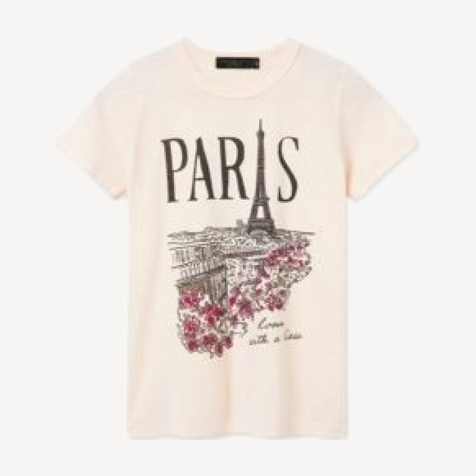 Junk Food Clothing Women's Paris Room with a View Original Tee