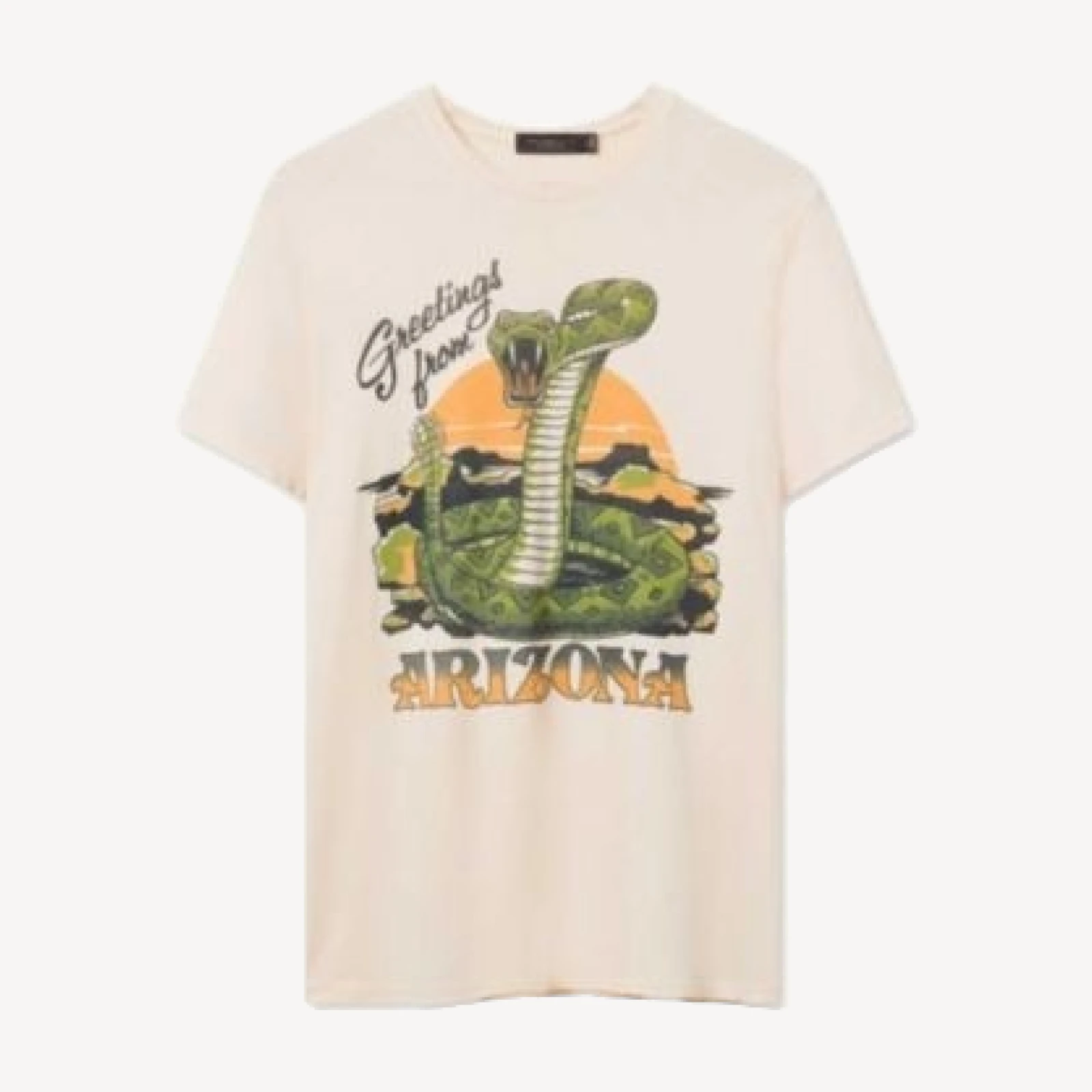 Junk Food Clothing Unisex Greetings From Arizona Vintage Tee