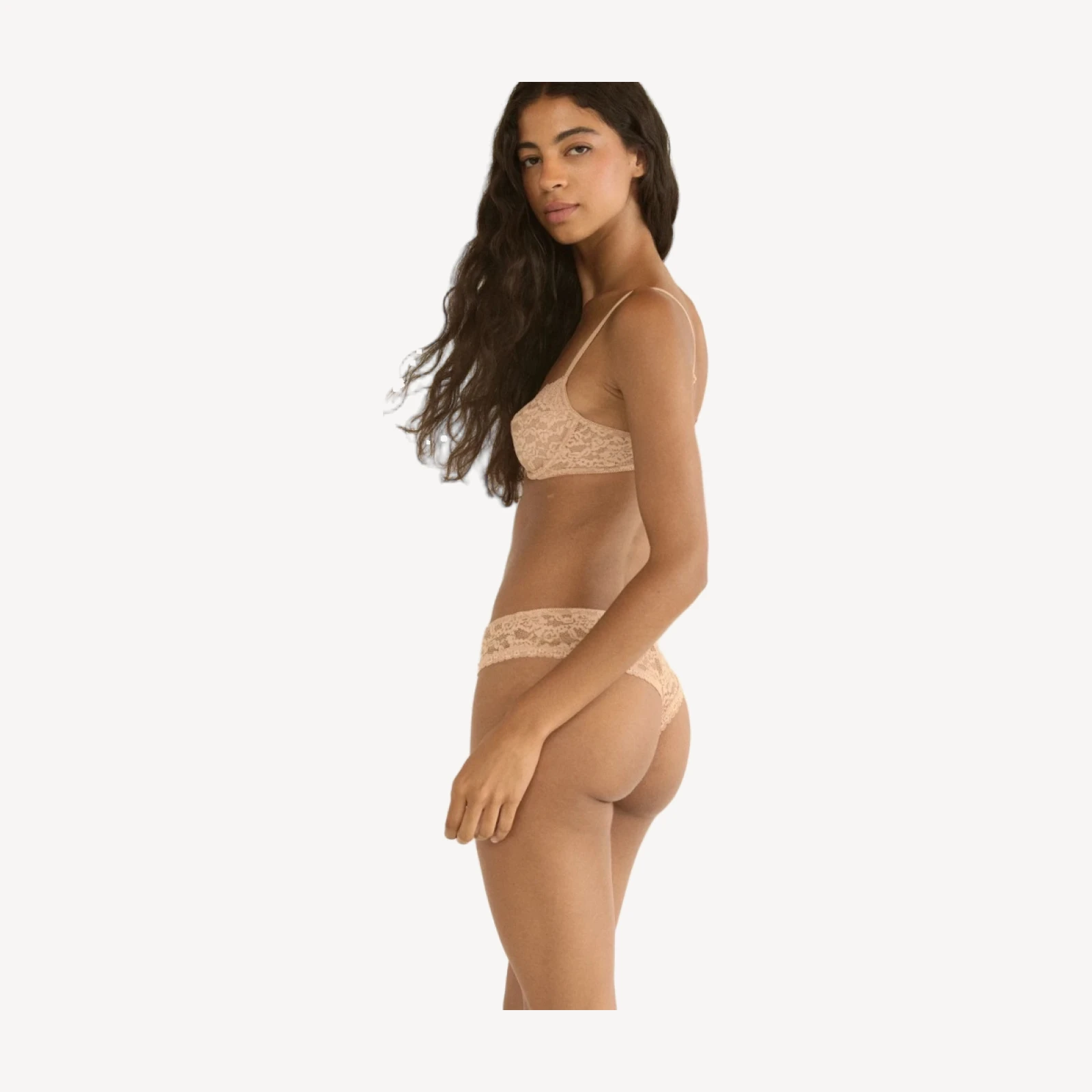 ILDA TANGA -- ANTIQUE ROSE