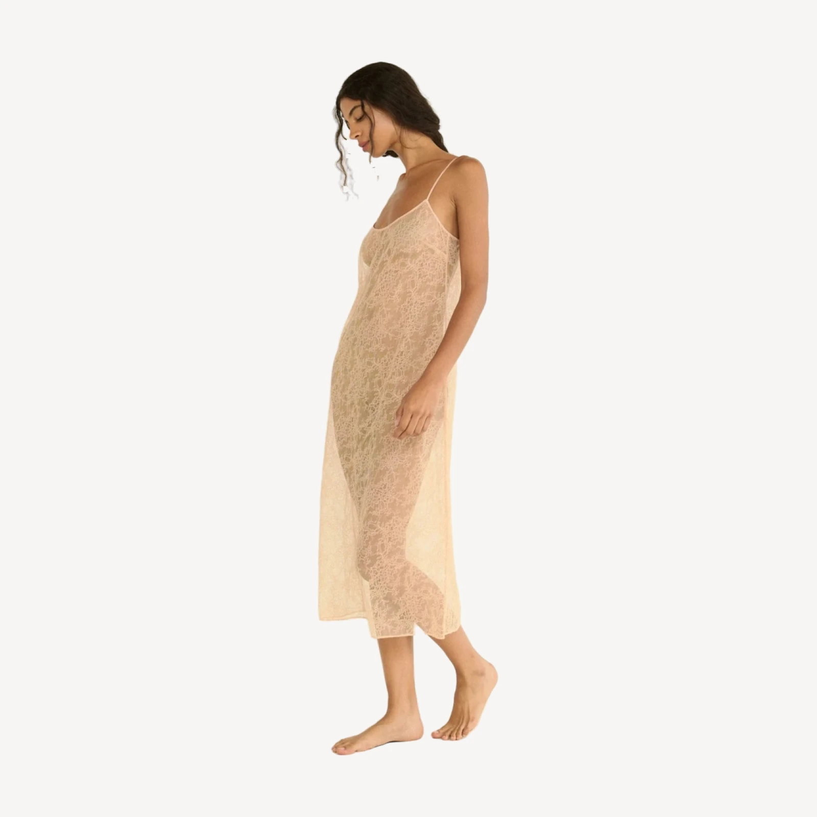 AMEDINE SLIP -- CONCH