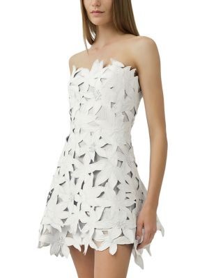 Simkhai Miri Strapless Mini Dress