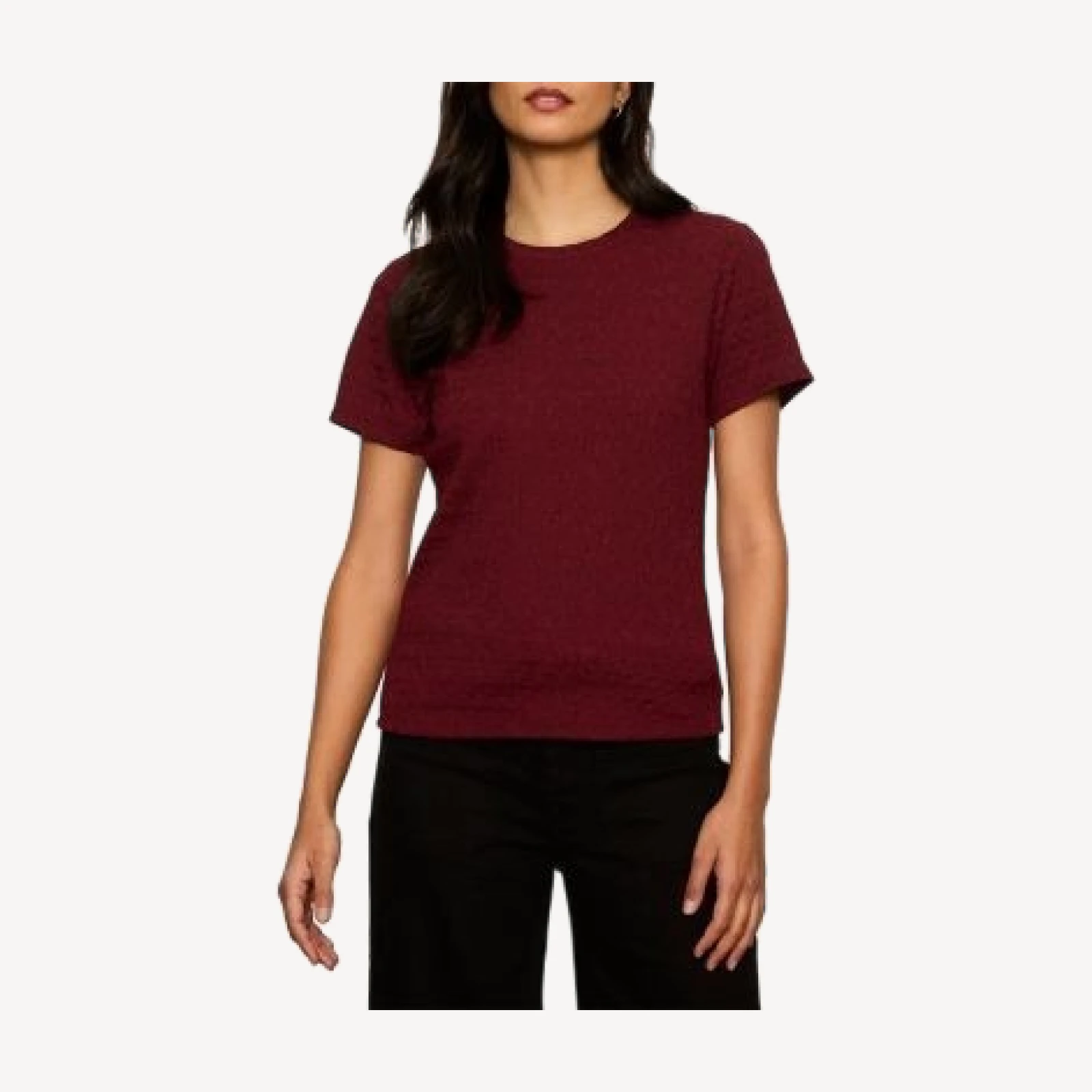 Sanctuary Icon Textured Crewneck Tee