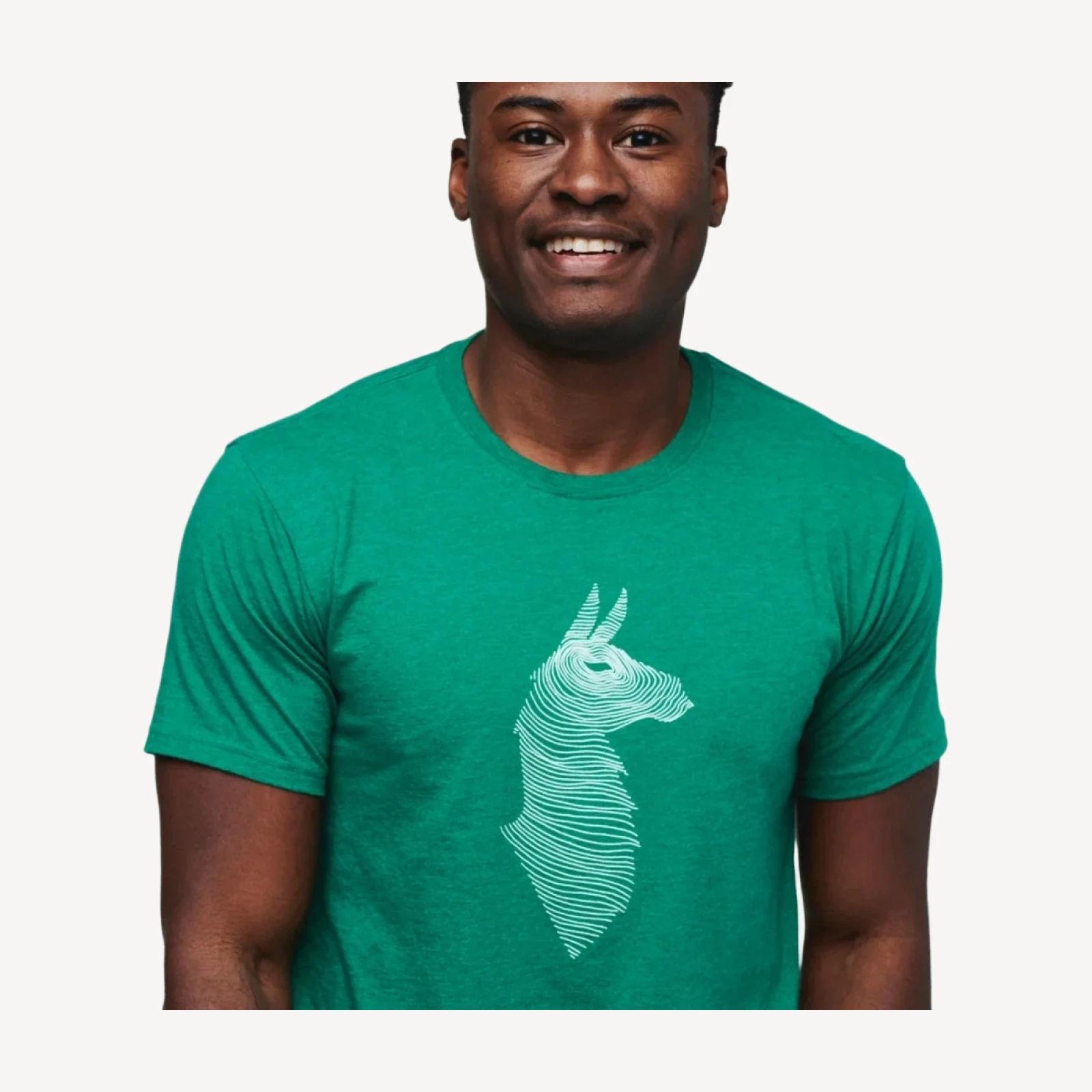 Topo Llama T-Shirt - Men's