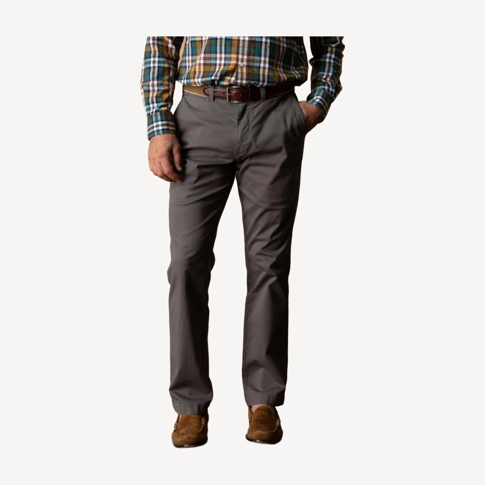 Classic Fit Gold School Chino - Fossil Gray