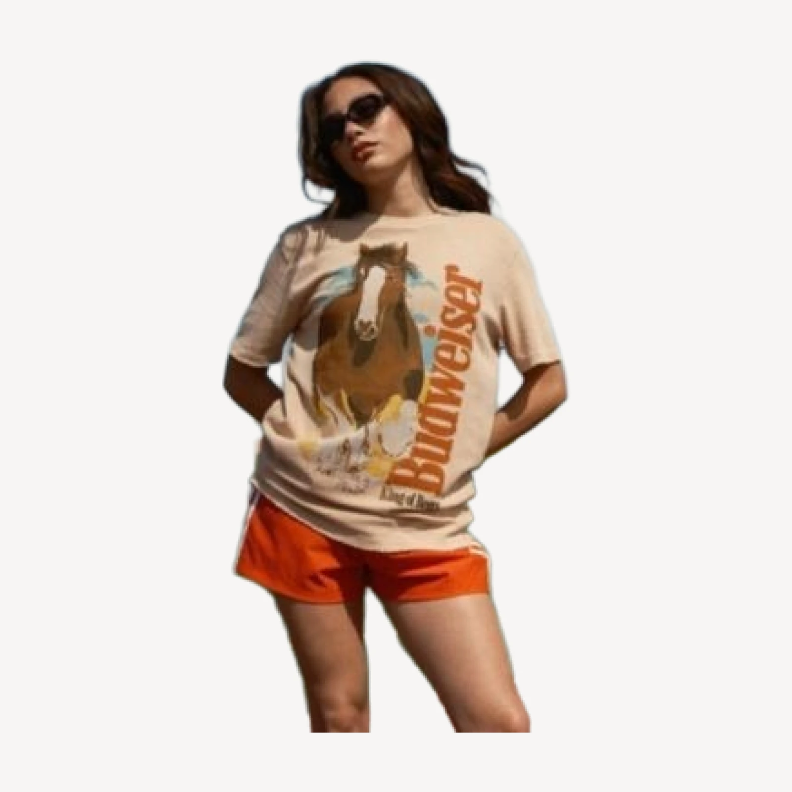 Junk Food Clothing Unisex Budweiser Clydesdale Vintage Tee