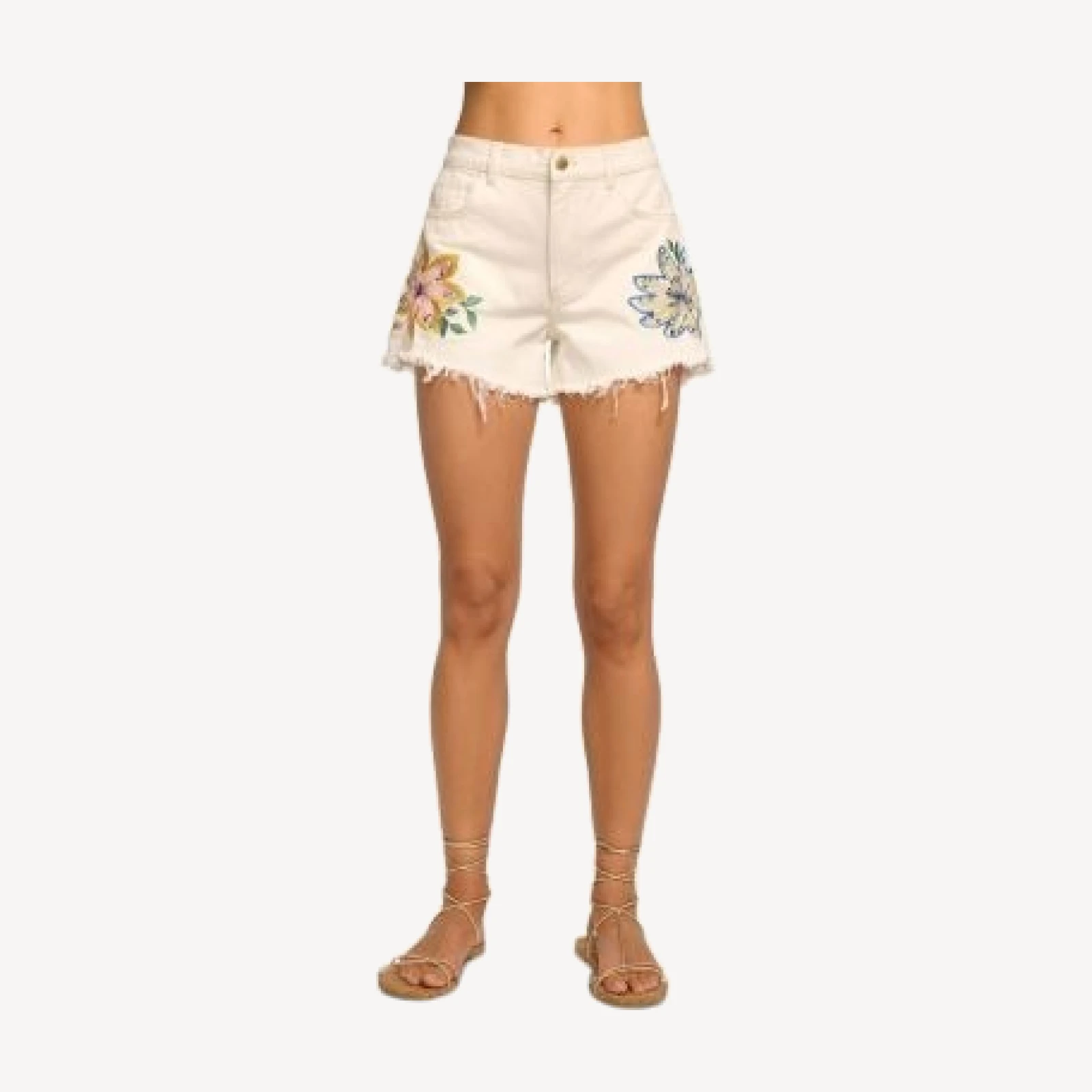 Ramy Brook Bria Embroidered Shorts
