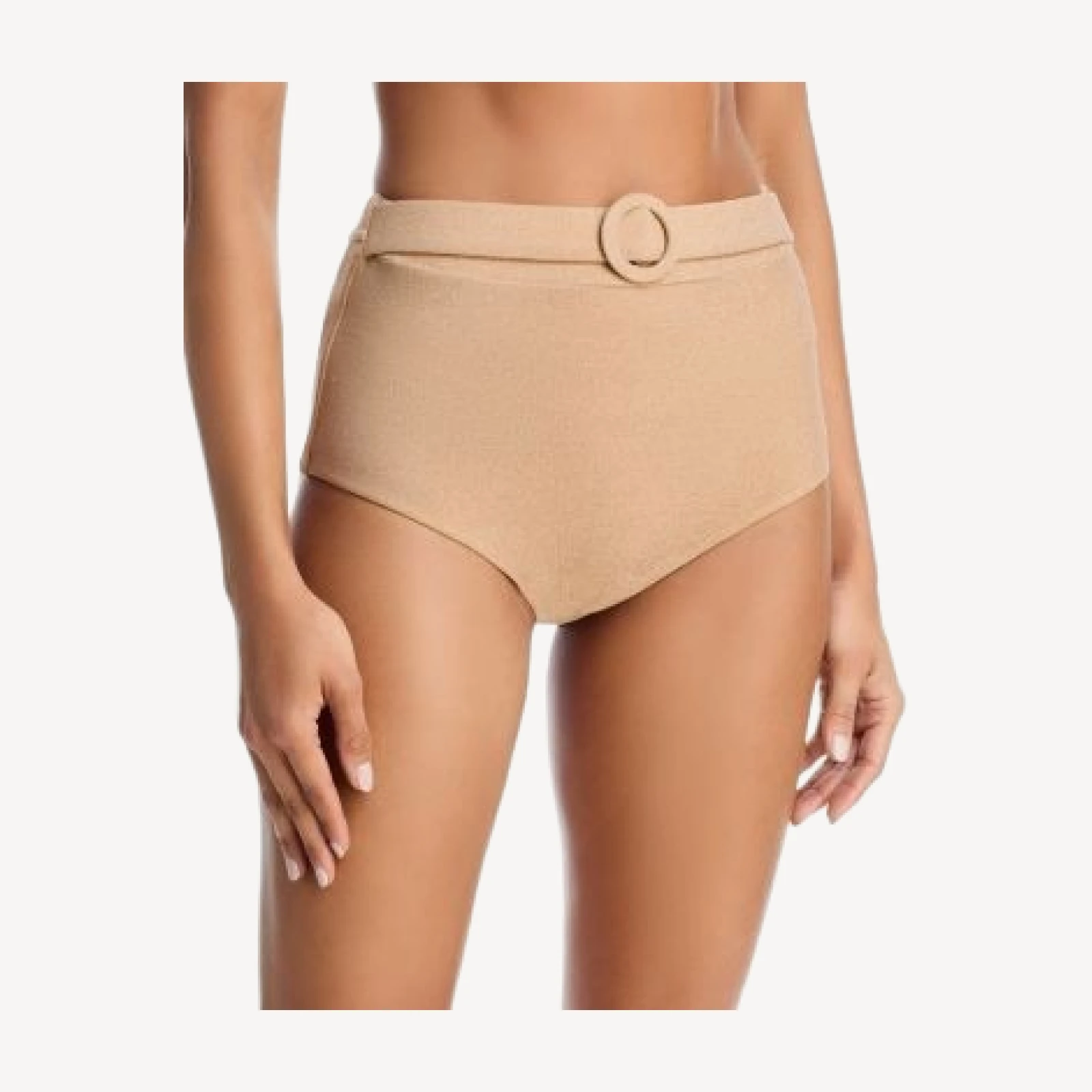 Ramy Brook Metallic Danica Bikini Bottom