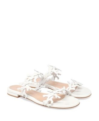 Gianvito Rossi Women's Ocean Mule