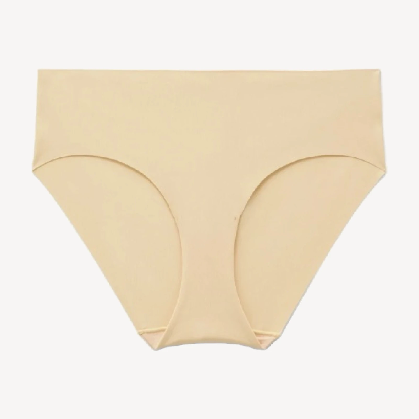 Silk Sport Brief