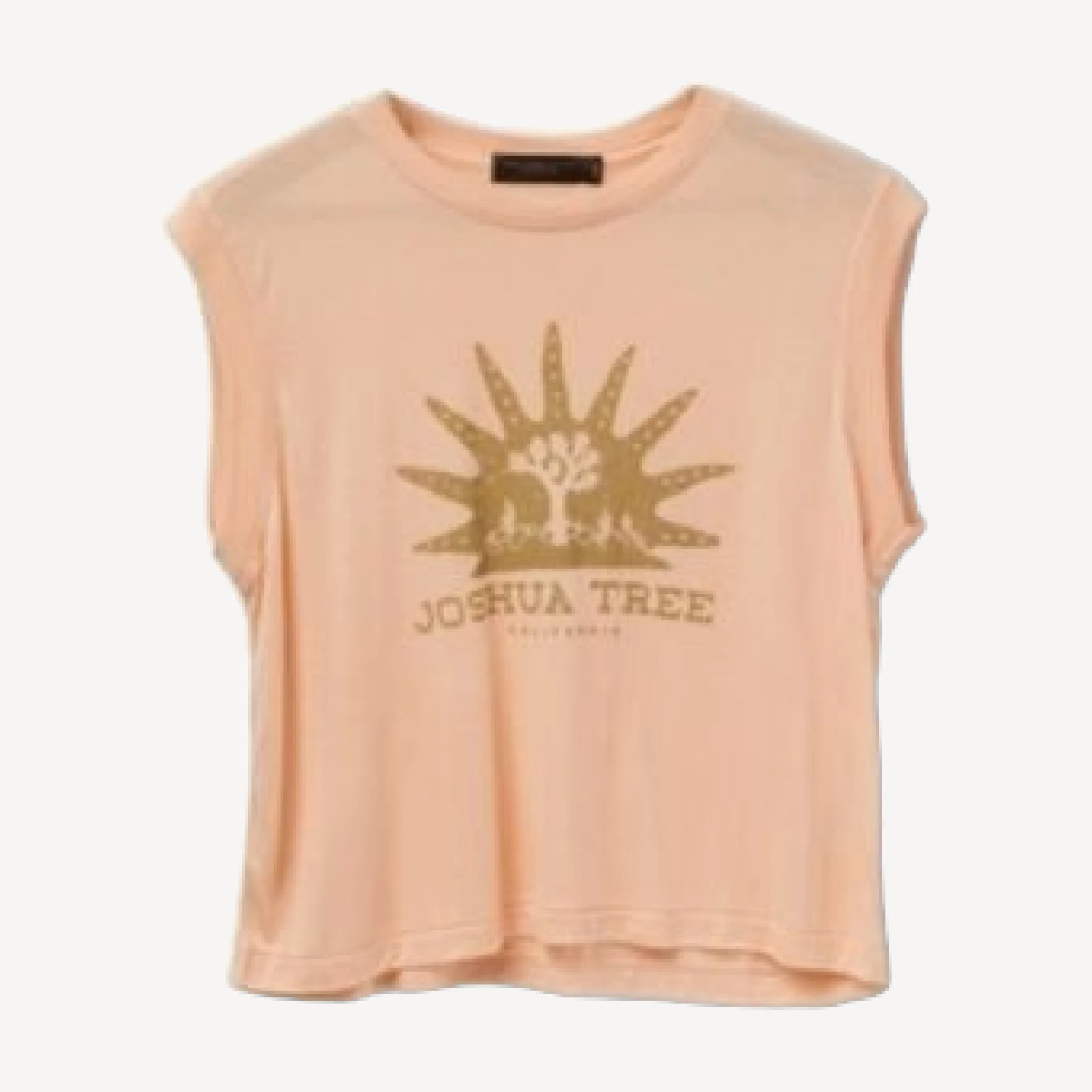 Junk Food Clothing Women's Joshua Tree Vintage Tissue Tank