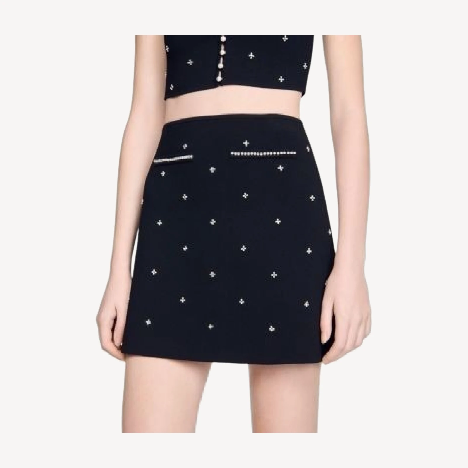 Sandro Rhinestone Embroidered Skirt