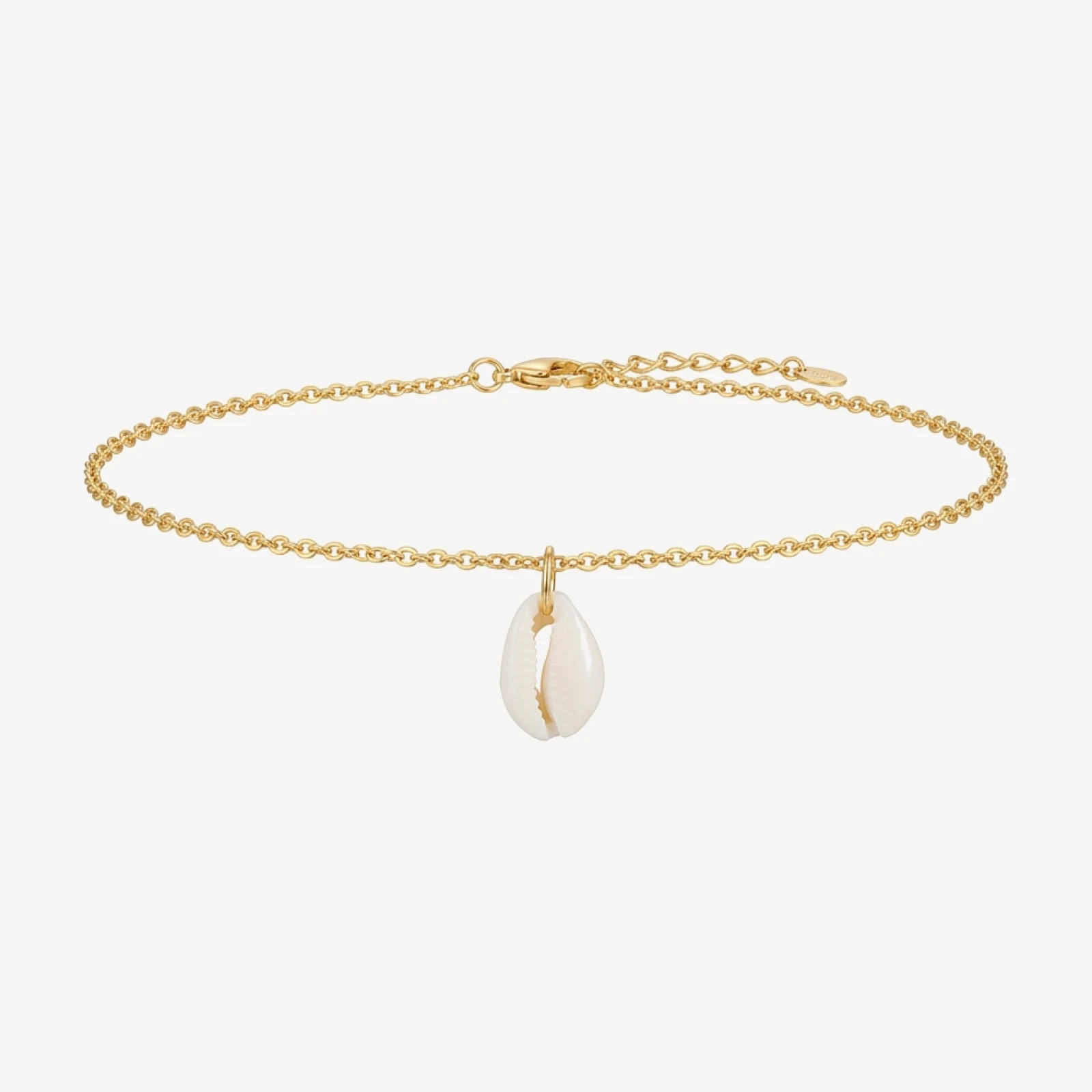 The Shell Anklet