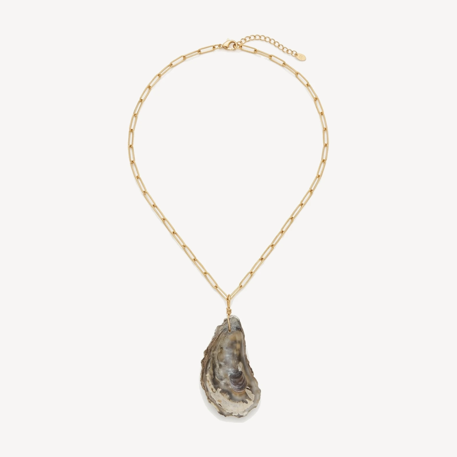 The Anne Shell Necklace