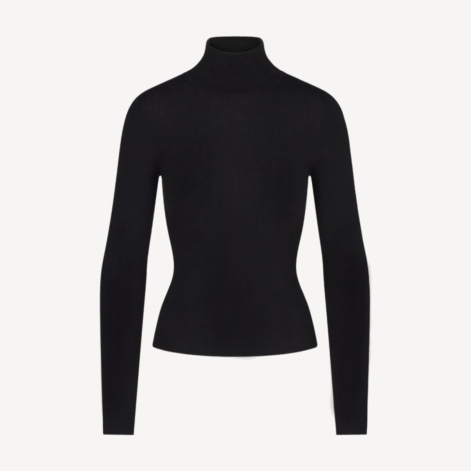 RUMER FITTED CASHMERE TURTLENECK - BLACK