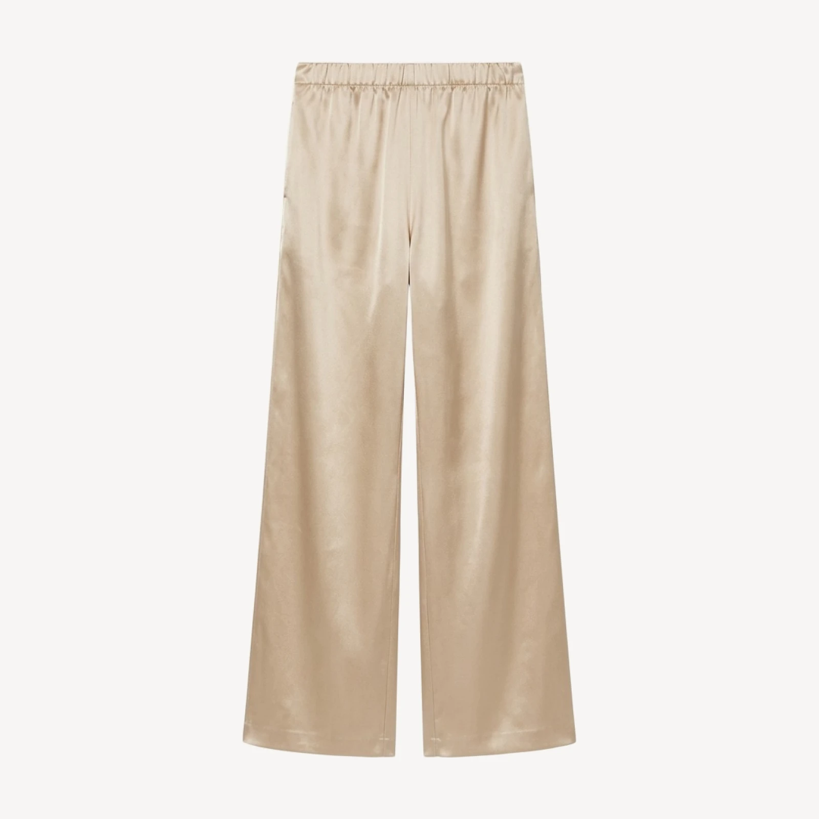 Express Silk Pant