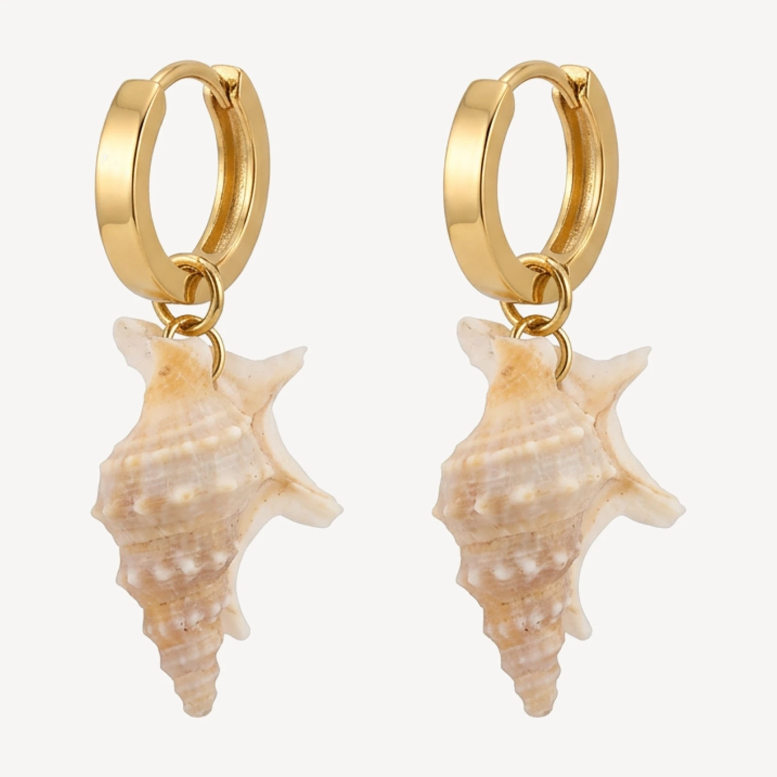 Turks Earrings 4