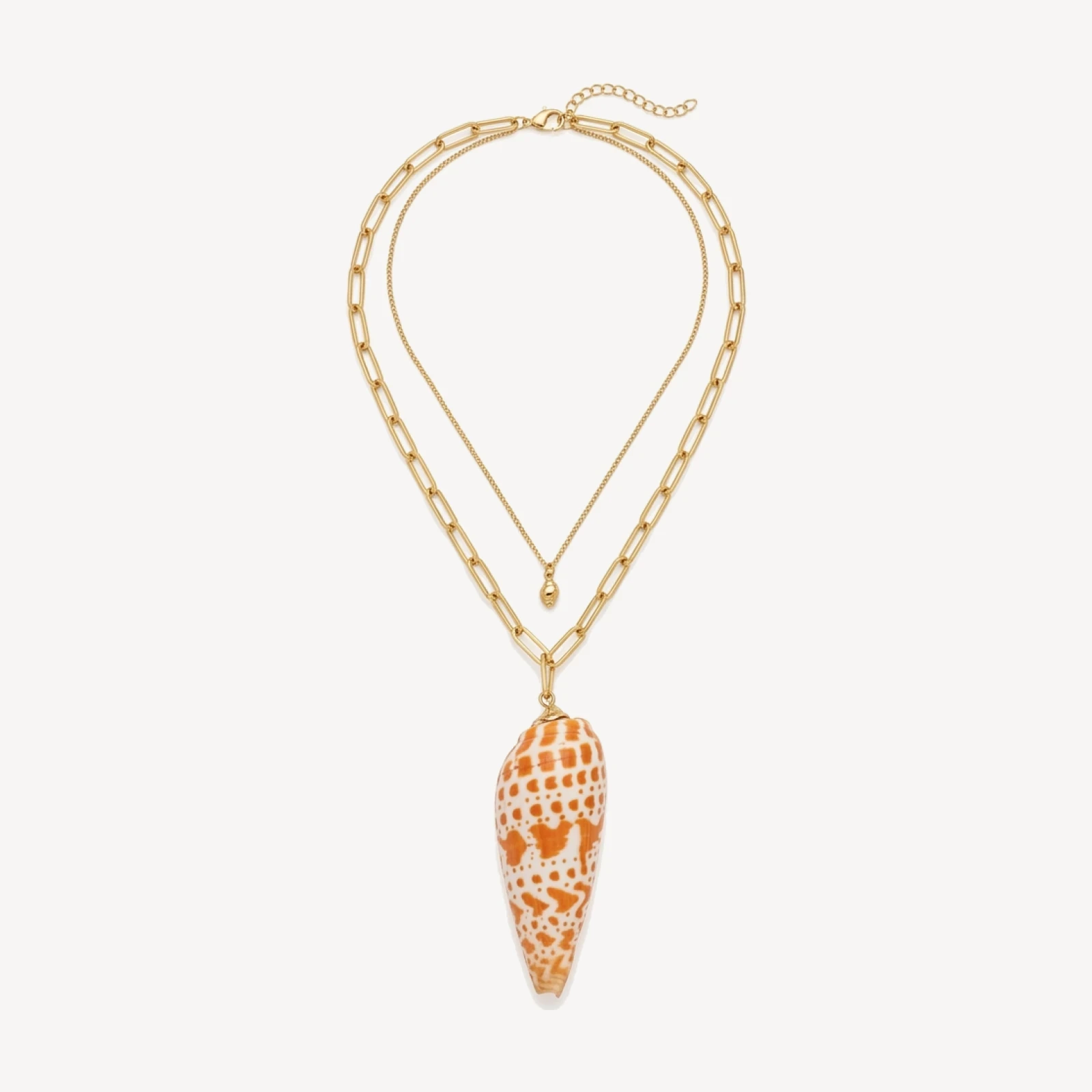 The Addie Shell Necklace